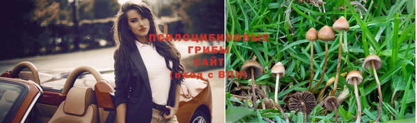 ПСИЛОЦИБИНОВЫЕ ГРИБЫ Балахна