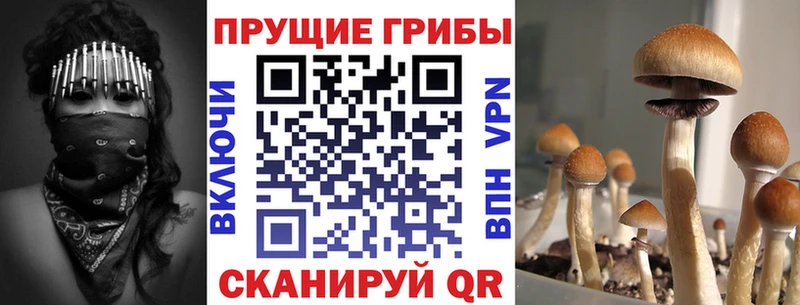 Псилоцибиновые грибы GOLDEN TEACHER  Белёв 