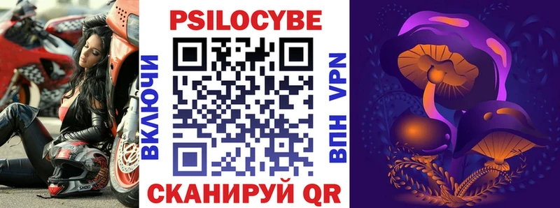 Галлюциногенные грибы Psilocybe Белёв